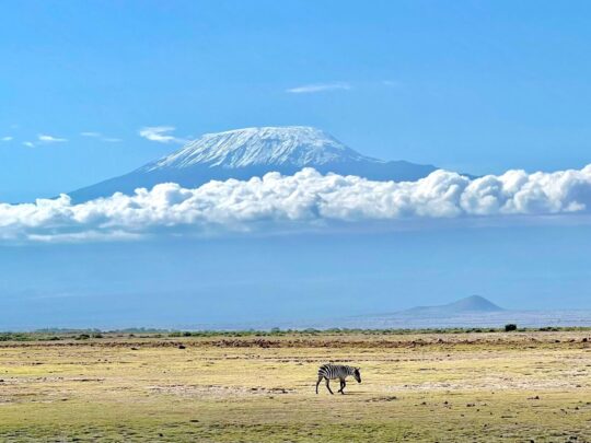 Climbing Kilimanjaro on a Kilimanjaro tour